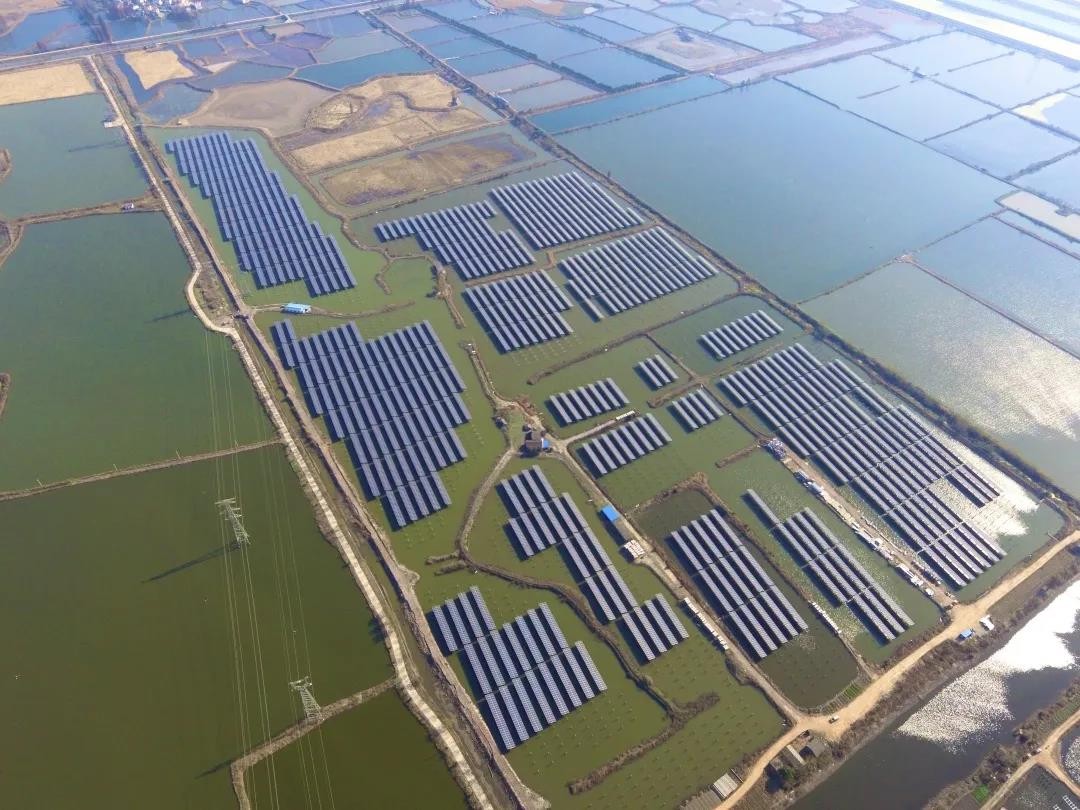 A Fishery-solar Masterpiece in the Watery Town - www@haobo.com's 110 MW PV Project in Tongling, Anhui Province Successfully Connected to the Grid for Power Generation