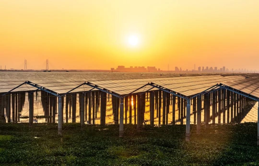 Beyond Success - www@haobo.com Achieved a Preferred Scale of 1120 MW in Jiangxi